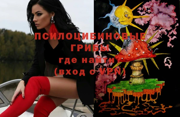 МДПВ Алексин