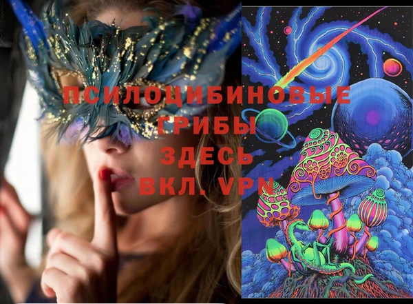 МДПВ Алексин