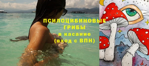 МДПВ Алексин