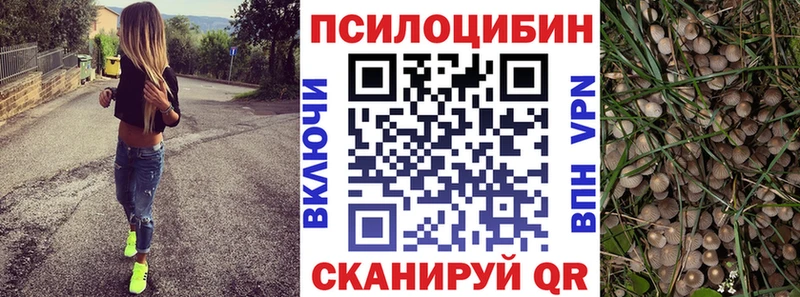 Галлюциногенные грибы мухоморы  shop официальный сайт  Тара 